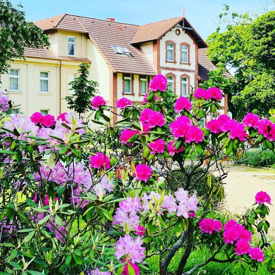 באד שמידברג Parkhotel Pretzsch מראה חיצוני תמונה